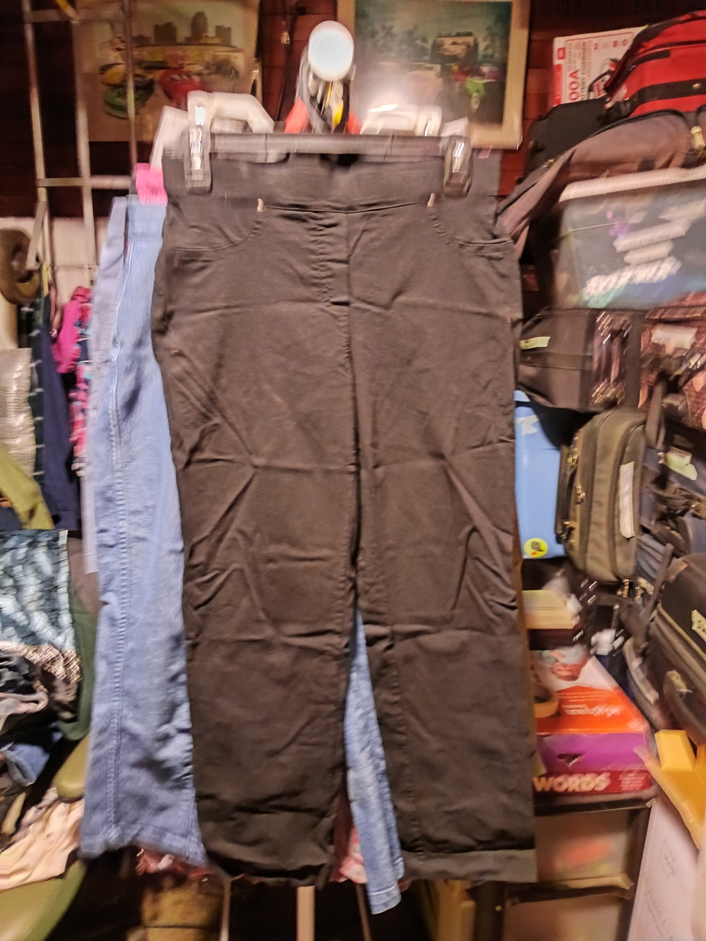 89th & Madison Black Women's Straight-Leg Chinos